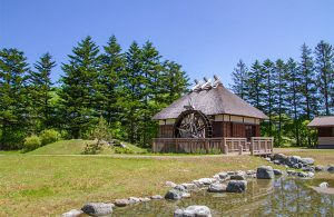 うずら温泉水車公園